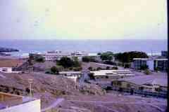 ���� ������ ��� ��� ����